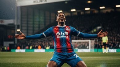 Crystal Palace Dominants Wolves 2-0