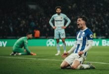 Late Stunner Denies West Ham as Brighton Rescue a Point