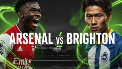 Premier League Leaders Face Seagulls