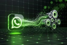 Boost Digital Efficiency: Automate Trialist Support