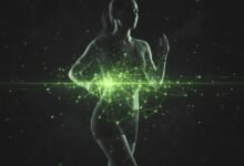 The Female Athlete Triad 2026 Update The Female Athlete Triad 2026 Update