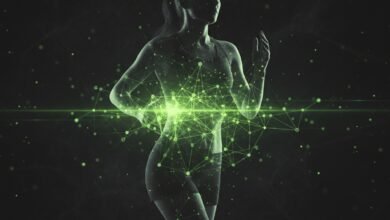 The Female Athlete Triad 2026 Update