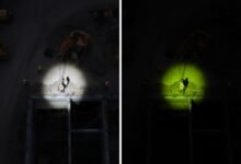 Your 2026 Career Guide