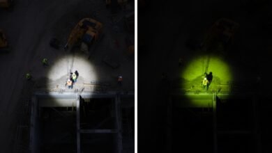 Your 2026 Career Guide