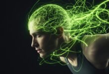 The “Flow State” Manual