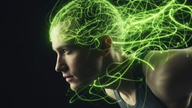 The “Flow State” Manual