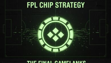 FPL Chip Strategy