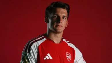 FPL Prices Revealed for Arsenal Winger Tzolis and Two Other Signings