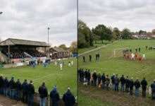 Grassroots, Non-League, or Professional?