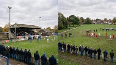 Grassroots, Non-League, or Professional?