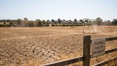 The Drought That’s Postponing Grassroots Football Across England